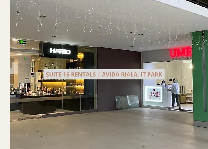 Cozy Studio Suite in IT Park near Ayala Mall